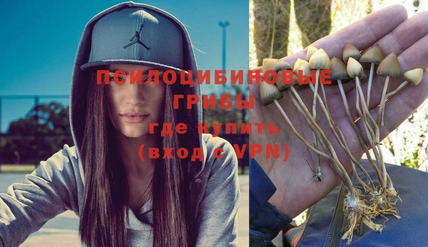 винт Тобольск