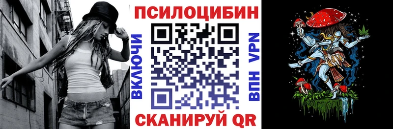Псилоцибиновые грибы Psilocybe  Купить где  Мостовской 